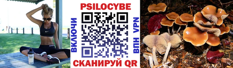 Галлюциногенные грибы ЛСД blacksprut как зайти Александров